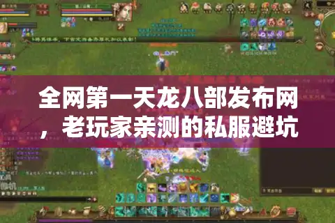 全网第一天龙八部发布网，老玩家亲测的私服避坑宝典