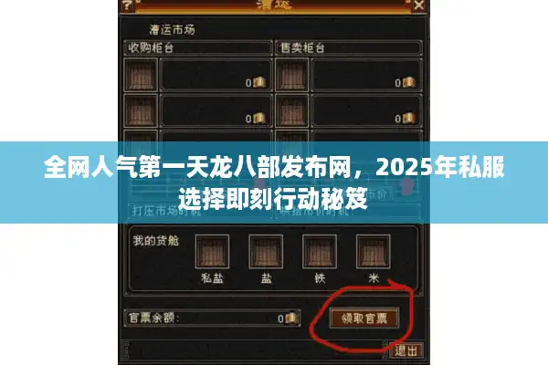 全网人气第一天龙八部发布网，2025年私服选择即刻行动秘笈