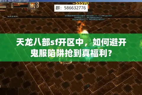 天龙八部sf开区中，如何避开鬼服陷阱抢到真福利？