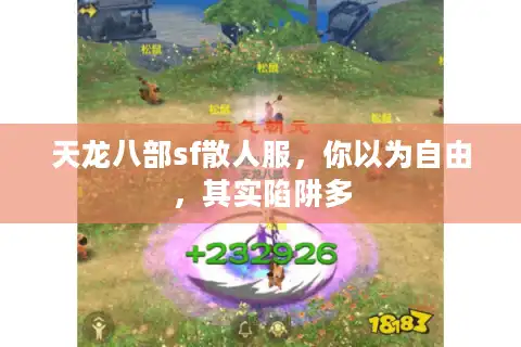 天龙八部sf散人服，你以为自由，其实陷阱多