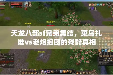 天龙八部sf兄弟集结，菜鸟扎堆vs老炮抱团的残酷真相
