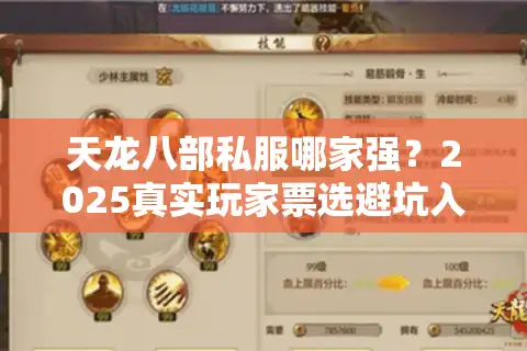 天龙八部私服哪家强？2025真实玩家票选避坑入坑榜