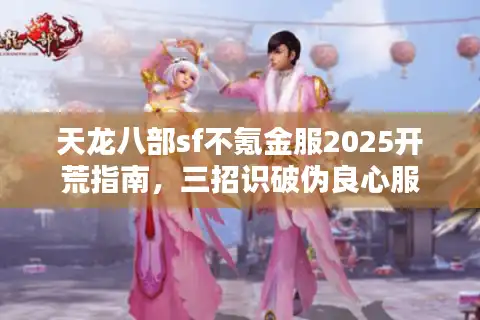 天龙八部sf不氪金服2025开荒指南，三招识破伪良心服