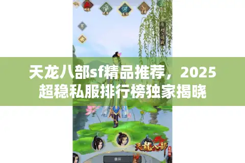 天龙八部sf精品推荐，2025超稳私服排行榜独家揭晓