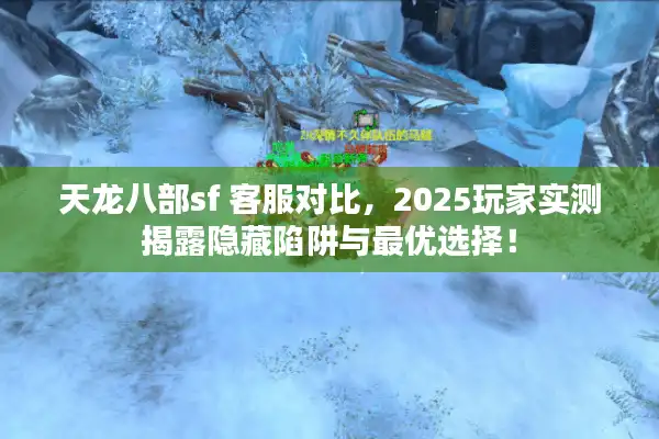 天龙八部sf 客服对比，2025玩家实测揭露隐藏陷阱与最优选择！