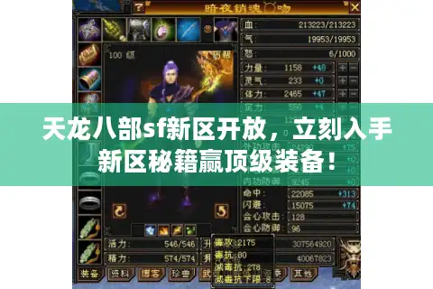 天龙八部sf新区开放，立刻入手新区秘籍赢顶级装备！