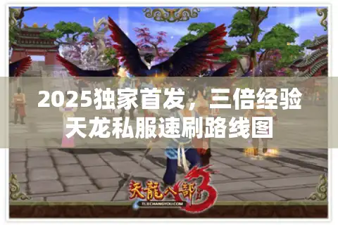 2025独家首发，三倍经验天龙私服速刷路线图