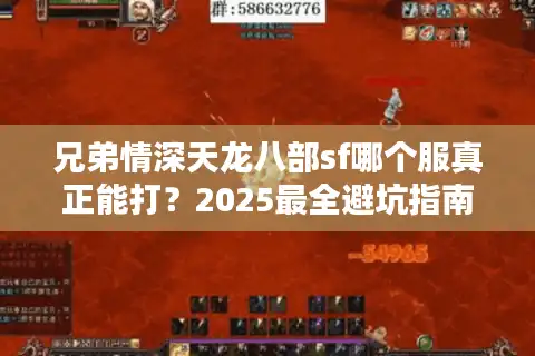 兄弟情深天龙八部sf哪个服真正能打？2025最全避坑指南