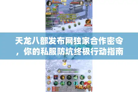 天龙八部发布网独家合作密令，你的私服防坑终极行动指南