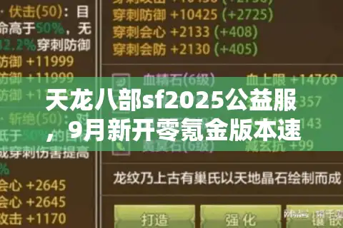 天龙八部sf2025公益服，9月新开零氪金版本速抢攻略