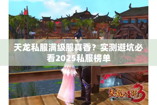 天龙私服满级服真香？实测避坑必看2025私服榜单