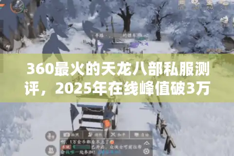 360最火的天龙八部私服测评，2025年在线峰值破3万的服长啥样？