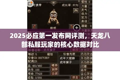 2025必应第一发布网评测，天龙八部私服玩家的核心数据对比