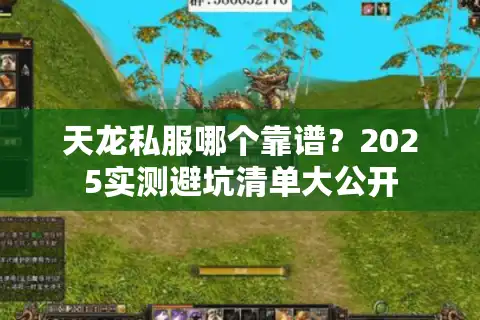天龙私服哪个靠谱？2025实测避坑清单大公开