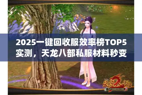 2025一键回收服效率榜TOP5实测，天龙八部私服材料秒变现指南