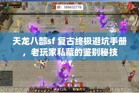 天龙八部sf 复古终极避坑手册，老玩家私藏的鉴别秘技
