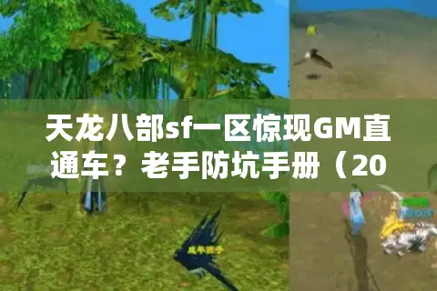 天龙八部sf一区惊现GM直通车？老手防坑手册（2025版）