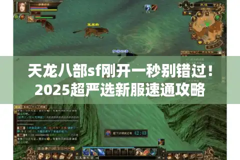 天龙八部sf刚开一秒别错过！2025超严选新服速通攻略