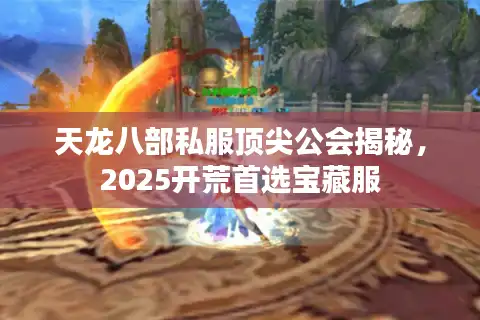 天龙八部私服顶尖公会揭秘，2025开荒首选宝藏服