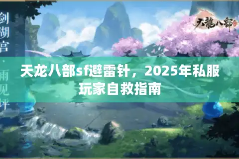 天龙八部sf避雷针，2025年私服玩家自救指南
