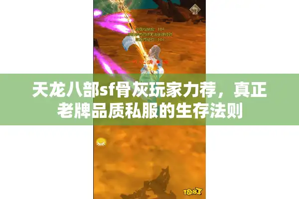 天龙八部sf骨灰玩家力荐，真正老牌品质私服的生存法则