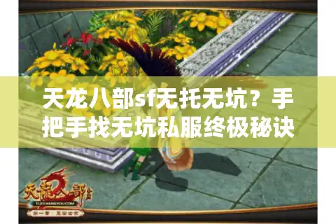 天龙八部sf无托无坑？手把手找无坑私服终极秘诀