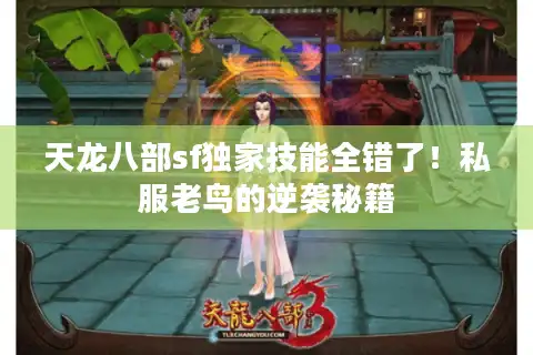 天龙八部sf独家技能全错了！私服老鸟的逆袭秘籍