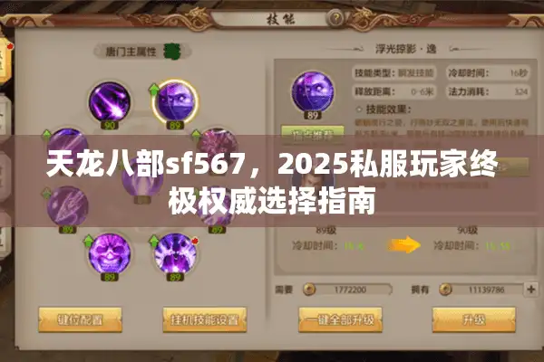 天龙八部sf567，2025私服玩家终极权威选择指南