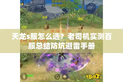 天龙s服怎么选？老司机实测百服总结防坑避雷手册