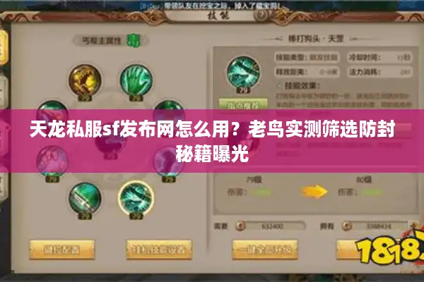 天龙私服sf发布网怎么用？老鸟实测筛选防封秘籍曝光