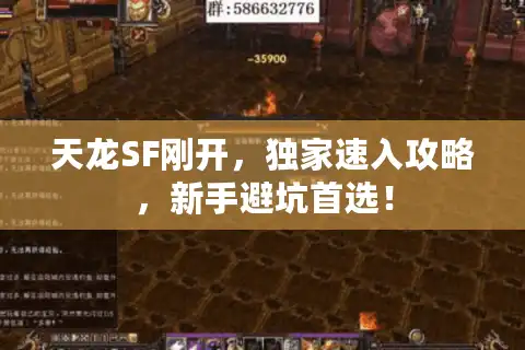 天龙SF刚开，独家速入攻略，新手避坑首选！