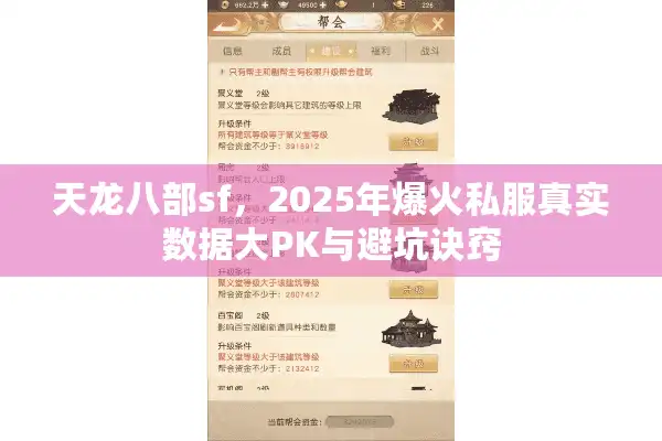 天龙八部sf，2025年爆火私服真实数据大PK与避坑诀窍