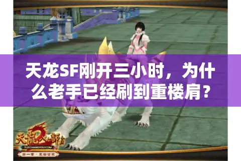 天龙SF刚开三小时，为什么老手已经刷到重楼肩？