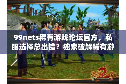 99nets稀有游戏论坛官方，私服选择总出错？独家破解稀有游戏天堂路径