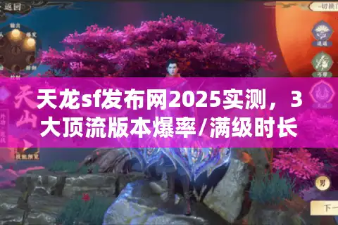 天龙sf发布网2025实测，3大顶流版本爆率/满级时长横评