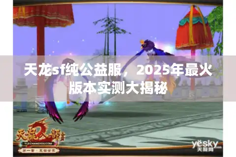 天龙sf纯公益服，2025年最火版本实测大揭秘