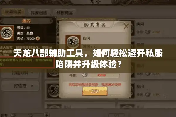 天龙八部辅助工具，如何轻松避开私服陷阱并升级体验？