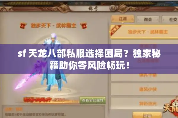 sf 天龙八部私服选择困局？独家秘籍助你零风险畅玩！