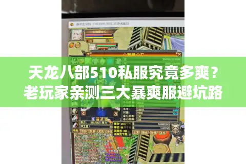 天龙八部510私服究竟多爽？老玩家亲测三大暴爽服避坑路线