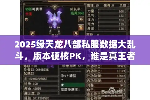 2025缘天龙八部私服数据大乱斗，版本硬核PK，谁是真王者？