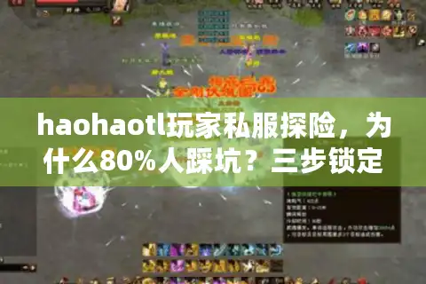 haohaotl玩家私服探险，为什么80%人踩坑？三步锁定最佳服务器