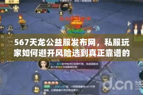 567天龙公益服发布网，私服玩家如何避开风险选到真正靠谱的公益服？