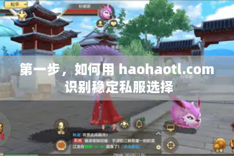 第一步，如何用 haohaotl.com 识别稳定私服选择