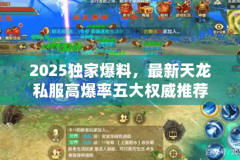 2025独家爆料，最新天龙私服高爆率五大权威推荐
