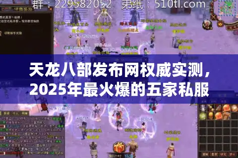 天龙八部发布网权威实测，2025年最火爆的五家私服深度解析