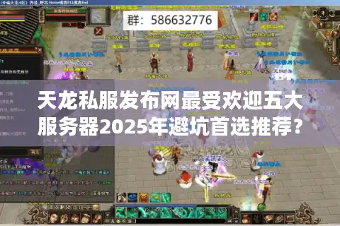 天龙私服发布网最受欢迎五大服务器2025年避坑首选推荐？