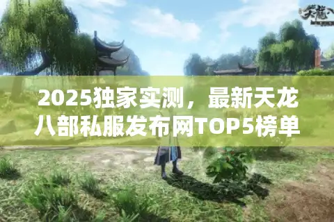 2025独家实测，最新天龙八部私服发布网TOP5榜单速递