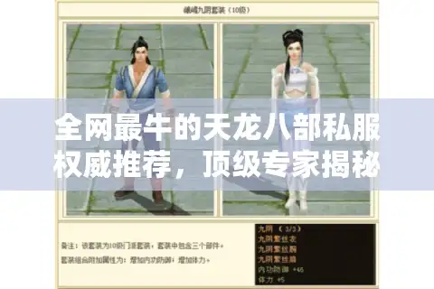 全网最牛的天龙八部私服权威推荐，顶级专家揭秘稳定选择秘籍