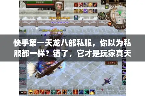 快手第一天龙八部私服，你以为私服都一样？错了，它才是玩家真天堂
