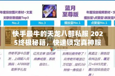 快手最牛的天龙八部私服 2025终极秘籍，快速锁定真神服
